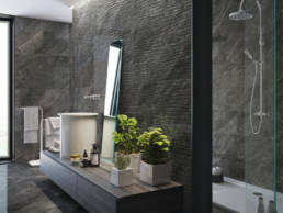 Abalone 4 | Magna EN