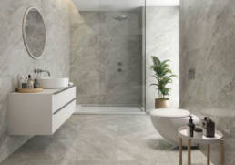 Abalone 6 | Magna EN