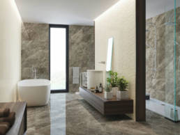 Abalone 7 | Magna EN