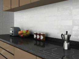 Picasso 1 | Magna EN